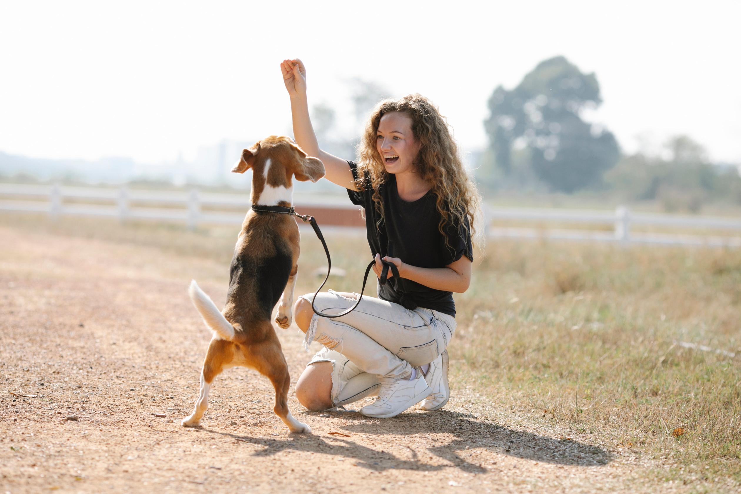 Znaczenie pozytywnego wzmocnienia w procesie szkolenia psów